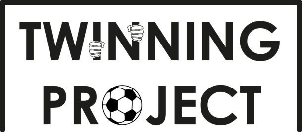 twinning project logo